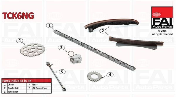 FAI AUTOPARTS pavaros grandinės komplektas TCK6NG